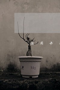 信用卡逾期银行会催款吧 信用卡逾期银行会催款吧