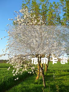 信用卡逾期银行会冻结储存卡吗 信用卡逾期银行会冻结储存卡吗