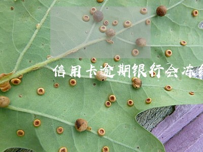信用卡逾期银行会冻结工资吗 信用卡逾期银行会冻结工资吗