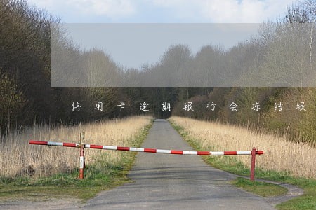 信用卡逾期银行会冻结银行卡吗 信用卡逾期银行会冻结银行卡吗