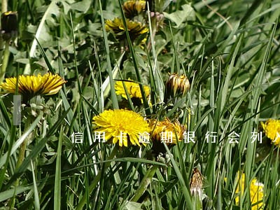 信用卡逾期银行会列入呆账吗