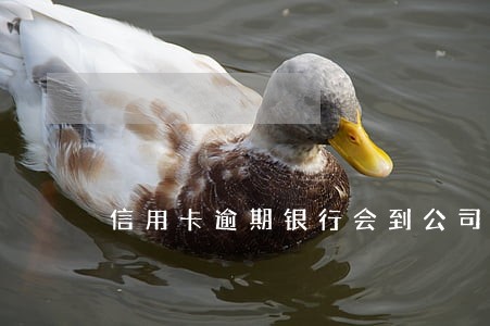 信用卡逾期银行会到公司吗 信用卡逾期银行会到公司吗