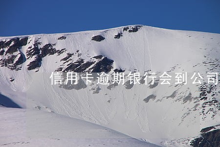信用卡逾期银行会到公司找人吗 信用卡逾期银行会到公司找人吗