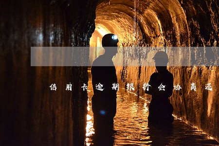 信用卡逾期银行会协商还本金吗