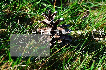 信用卡逾期银行会去户籍