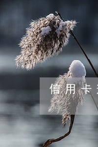 信用卡逾期银行会如何催收 信用卡逾期银行会如何催收