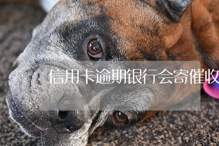 信用卡逾期银行会寄催收