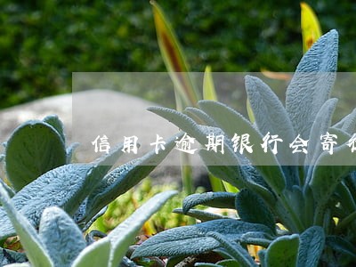 信用卡逾期银行会寄律师函吗 信用卡逾期银行会寄律师函吗