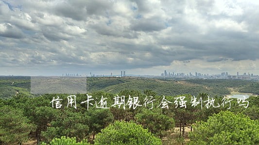 信用卡逾期银行会强制执行吗 信用卡逾期银行会强制执行吗