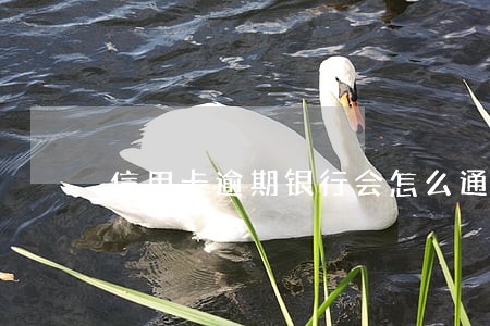 信用卡逾期银行会怎么通知 信用卡逾期银行会怎么通知