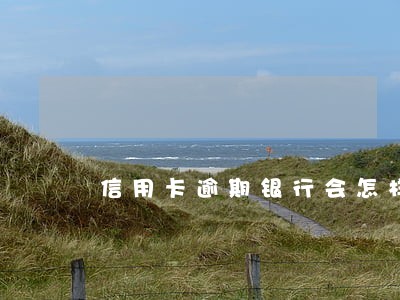 信用卡逾期银行会怎样处理信用卡 信用卡逾期银行会怎样处理信用卡