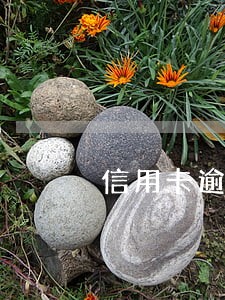 信用卡逾期银行会打电话和你协商 信用卡逾期银行会打电话和你协商