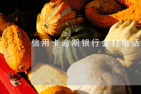 信用卡逾期银行会打电话给我吗 信用卡逾期银行会打电话给我吗