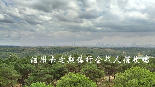 信用卡逾期银行会找人催收吗