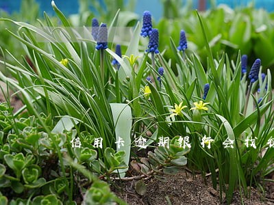 信用卡逾期银行会找律师嘛 信用卡逾期银行会找律师嘛