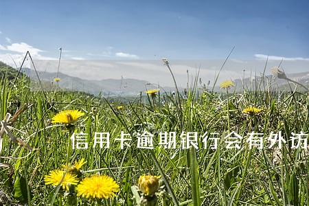 信用卡逾期银行会有外访组吗
