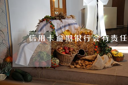 信用卡逾期银行会有责任吗 信用卡逾期银行会有责任吗