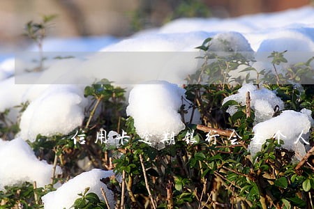 信用卡逾期银行会查个人财产吗 信用卡逾期银行会查个人财产吗