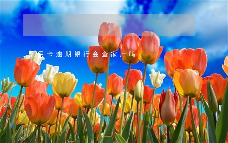 信用卡逾期银行会查家产吗