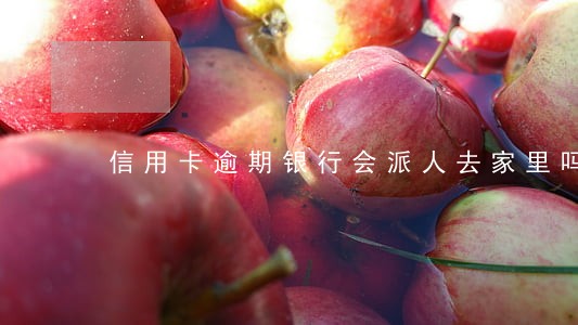 信用卡逾期银行会派人去家里吗