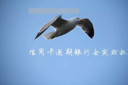 信用卡逾期银行会突然抓人吗 信用卡逾期银行会突然抓人吗