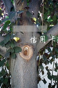 信用卡逾期银行会给 信用卡逾期银行会给
