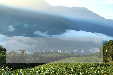 信用卡逾期银行会给谁打电话 信用卡逾期银行会给谁打电话