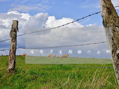信用卡逾期银行会联系单位吗 信用卡逾期银行会联系单位吗