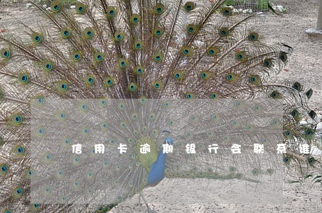 信用卡逾期银行会联系谁 信用卡逾期银行会联系谁