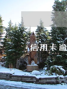 信用卡逾期银行会要求第三方 信用卡逾期银行会要求第三方