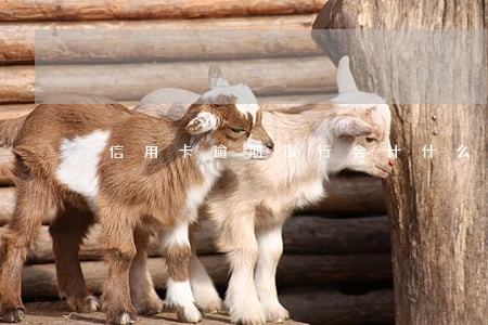 信用卡逾期银行会计什么 信用卡逾期银行会计什么