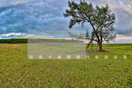 信用卡逾期银行会起诉其配偶吗
