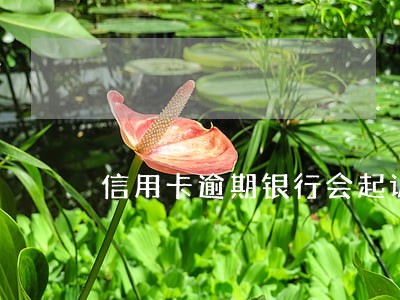 信用卡逾期银行会起诉夫妻吗