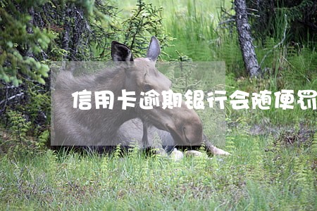 信用卡逾期银行会随便罚钱吗 信用卡逾期银行会随便罚钱吗