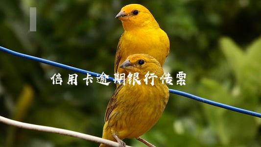 信用卡逾期银行传票 信用卡逾期银行传票