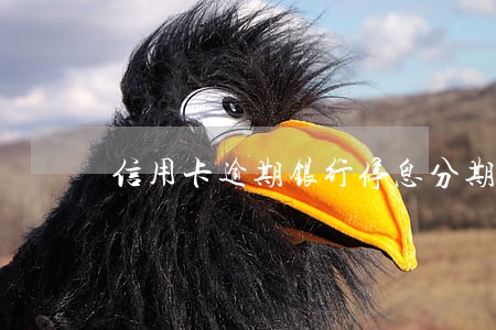 信用卡逾期银行停息分期分24期 信用卡逾期银行停息分期分24期