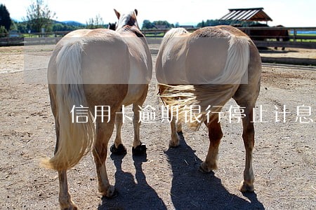 信用卡逾期银行停止计息 信用卡逾期银行停止计息