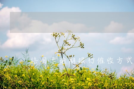 信用卡逾期银行催收方式 信用卡逾期银行催收方式