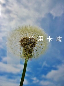 信用卡逾期银行催收部洲 信用卡逾期银行催收部洲