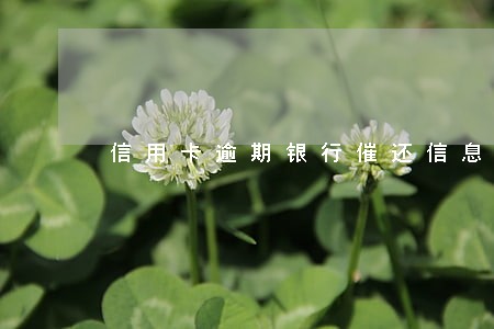 信用卡逾期银行催还信息 信用卡逾期银行催还信息