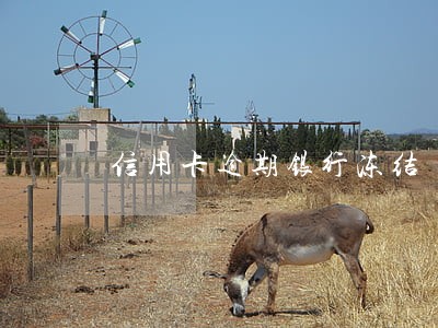 信用卡逾期银行冻结 信用卡逾期银行冻结