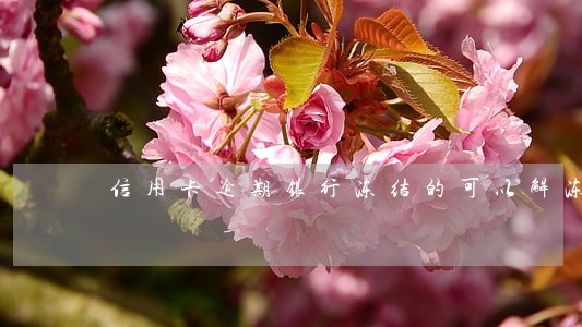 信用卡逾期银行冻结的可以解冻吗 信用卡逾期银行冻结的可以解冻吗