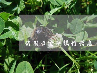 信用卡逾期银行减息手续