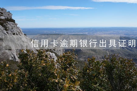 信用卡逾期银行出具证明 信用卡逾期银行出具证明