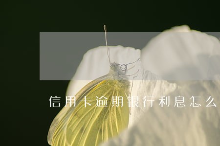 信用卡逾期银行利息怎么收 信用卡逾期银行利息怎么收