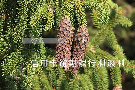 信用卡逾期银行利滚利