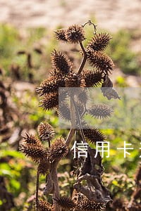 信用卡逾期银行到单位了解