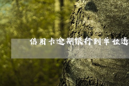 信用卡逾期银行到单位违法吗