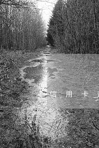 信用卡逾期银行加我微信 信用卡逾期银行加我微信