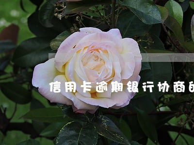 信用卡逾期银行协商的步骤
